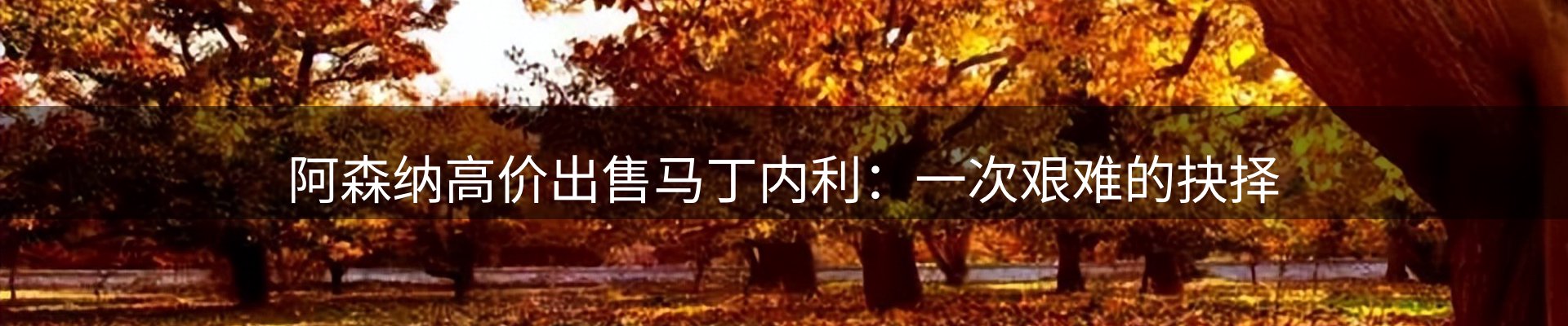 内页banner